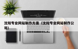 丽江沈阳专业网站制作方案（沈阳专业网站制作公司）